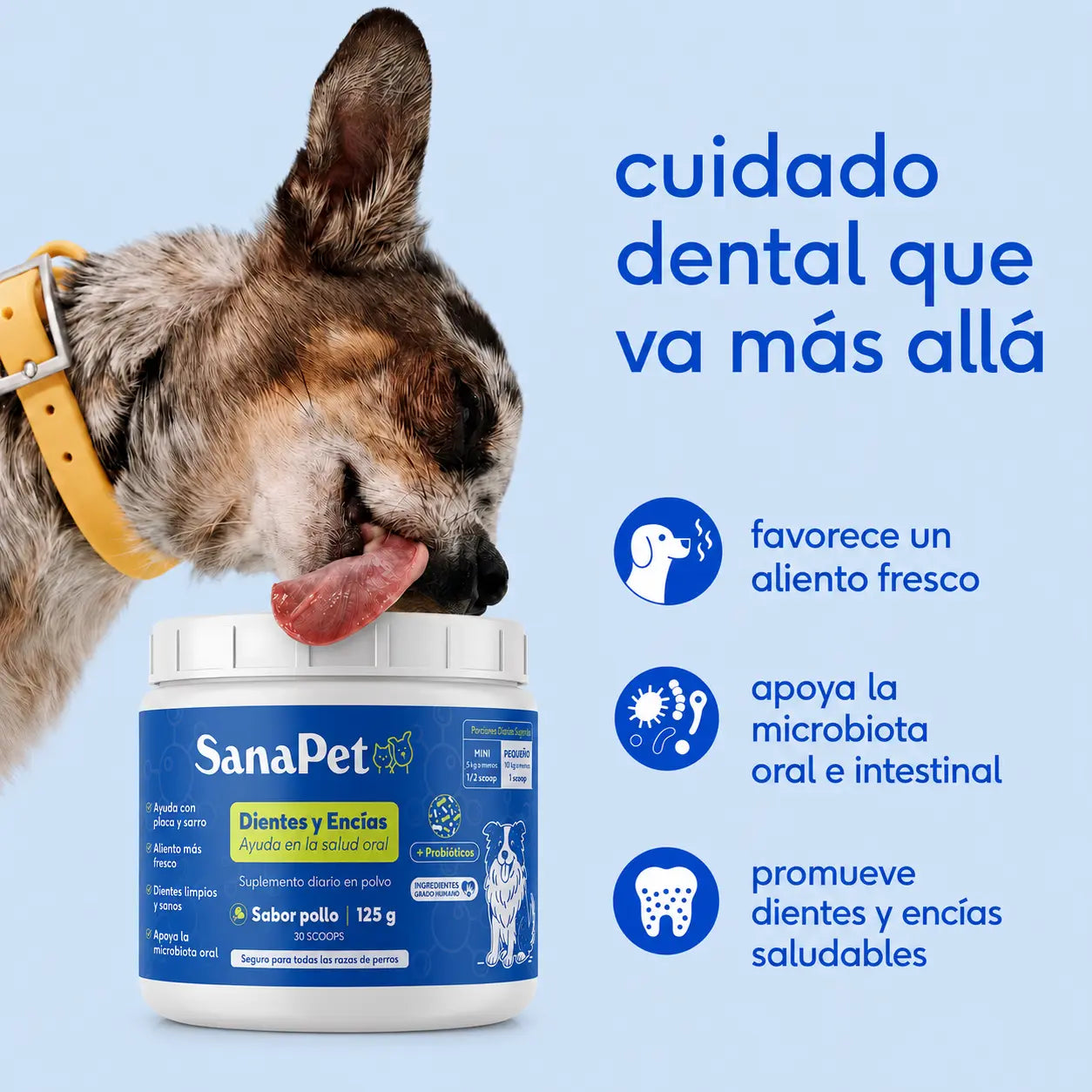 Salud oral para perros