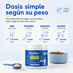 Salud oral para perros