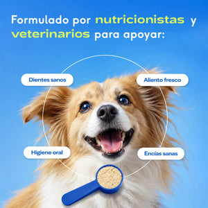 Salud oral para perros