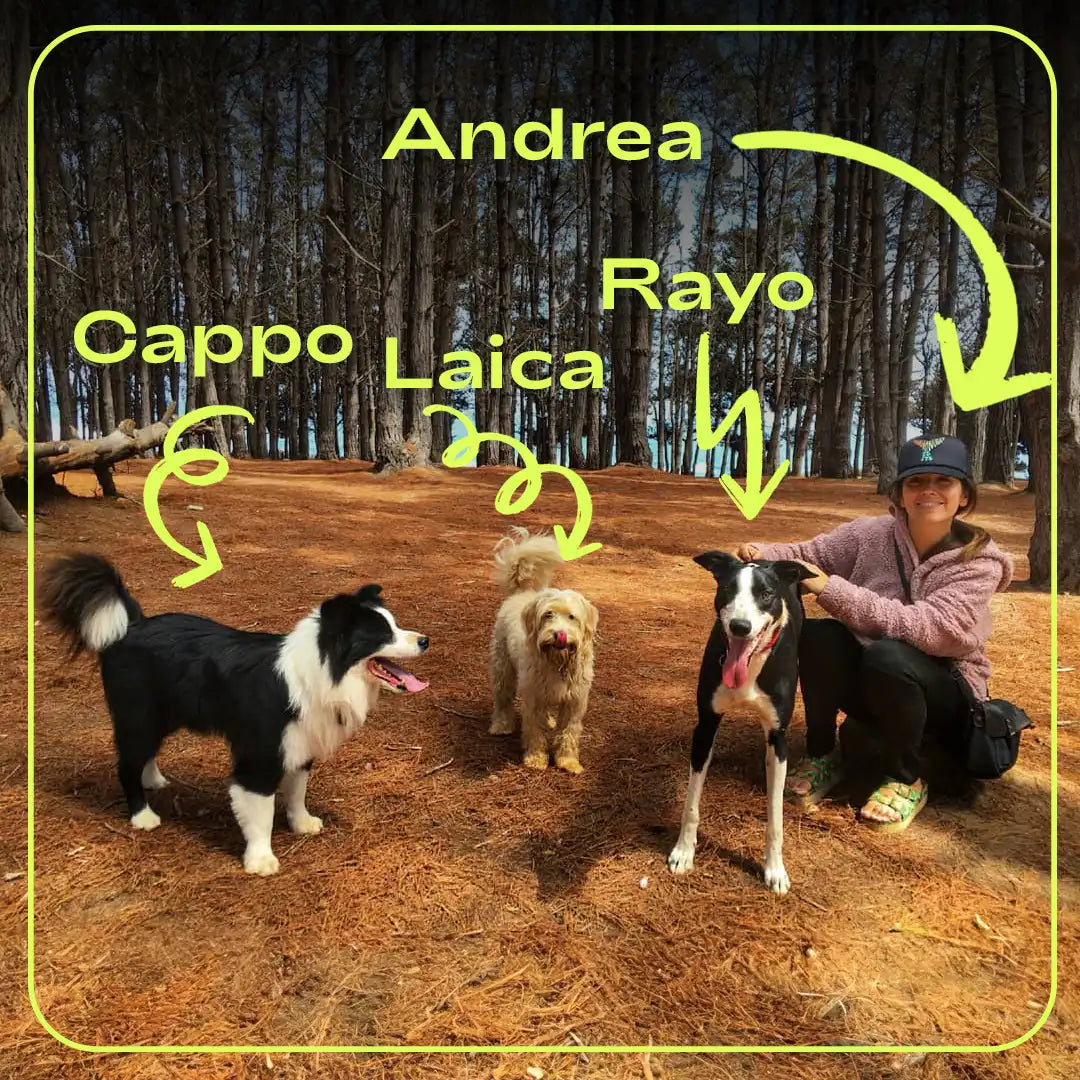 Andrea Yáñez, cofundadora de SanaPet