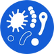 Apoya la microbiota oral