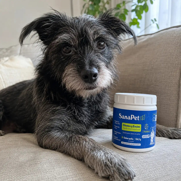 Perro de cliente SanaPet