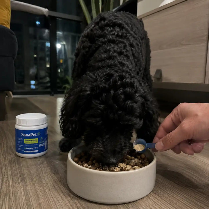 Perro de cliente SanaPet