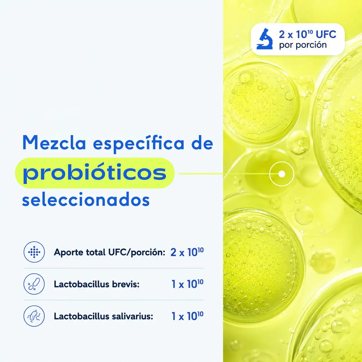 Salud oral para perros