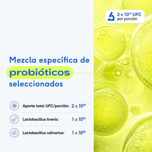 Salud oral para perros