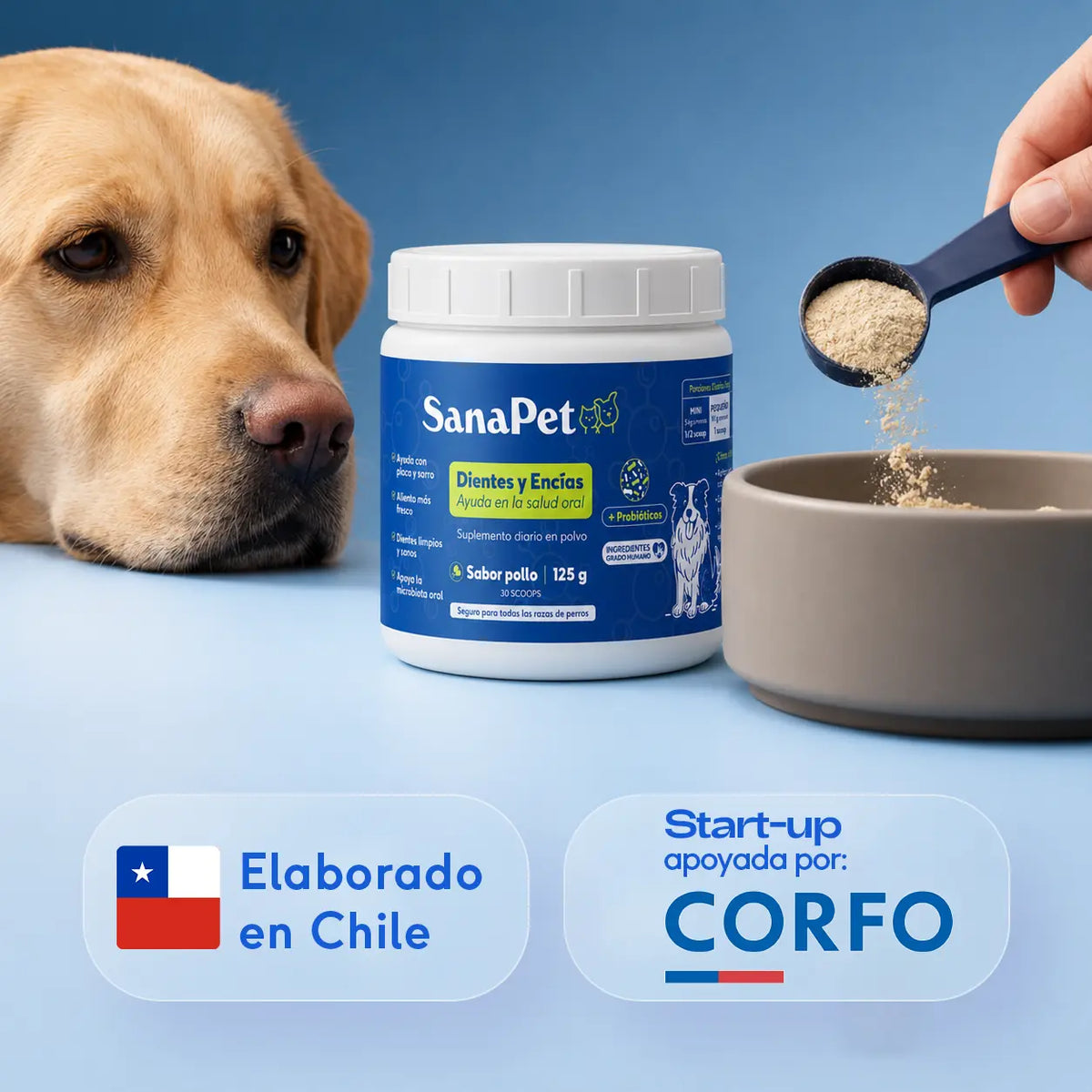 SanaPet elaborado en Chile, startup apoyada por Corfo