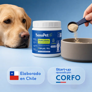 SanaPet elaborado en Chile, startup apoyada por Corfo