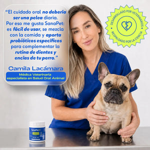Salud oral para perros
